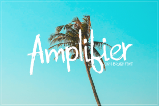 Amplifier: A Dry Brush Font for Relaxed Design