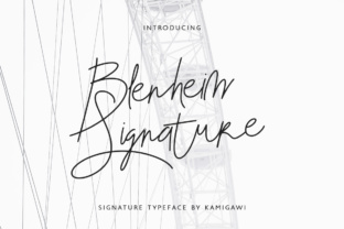 Blenheim Signature Font for Web Design