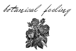 Bluelmin Benedict: A Handwritten Font for Elegant Design