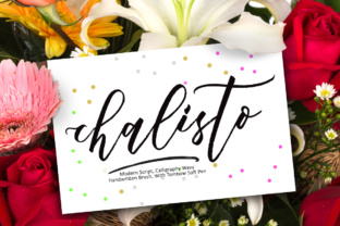 Chalisto: A Modern Script Font for Web Design