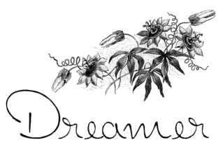 Dreamer: A Script Font for Web Design