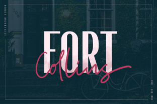 Fort Collins Review: A Script Amp for Real Projects