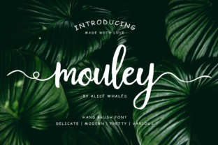 Mouley: A Trendy Handwritten Font