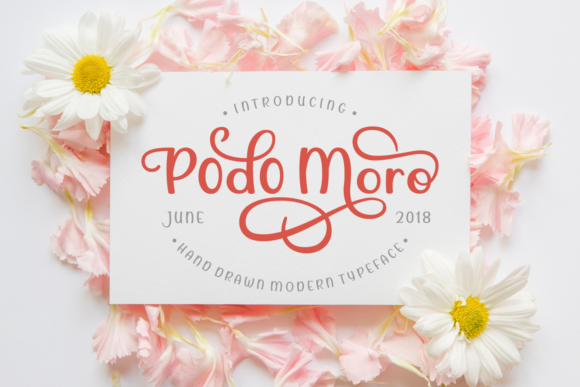 Podo Moro: A Font That Elevates Your Brand