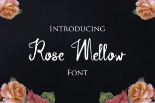 Warm, Handwritten Font for Web Design